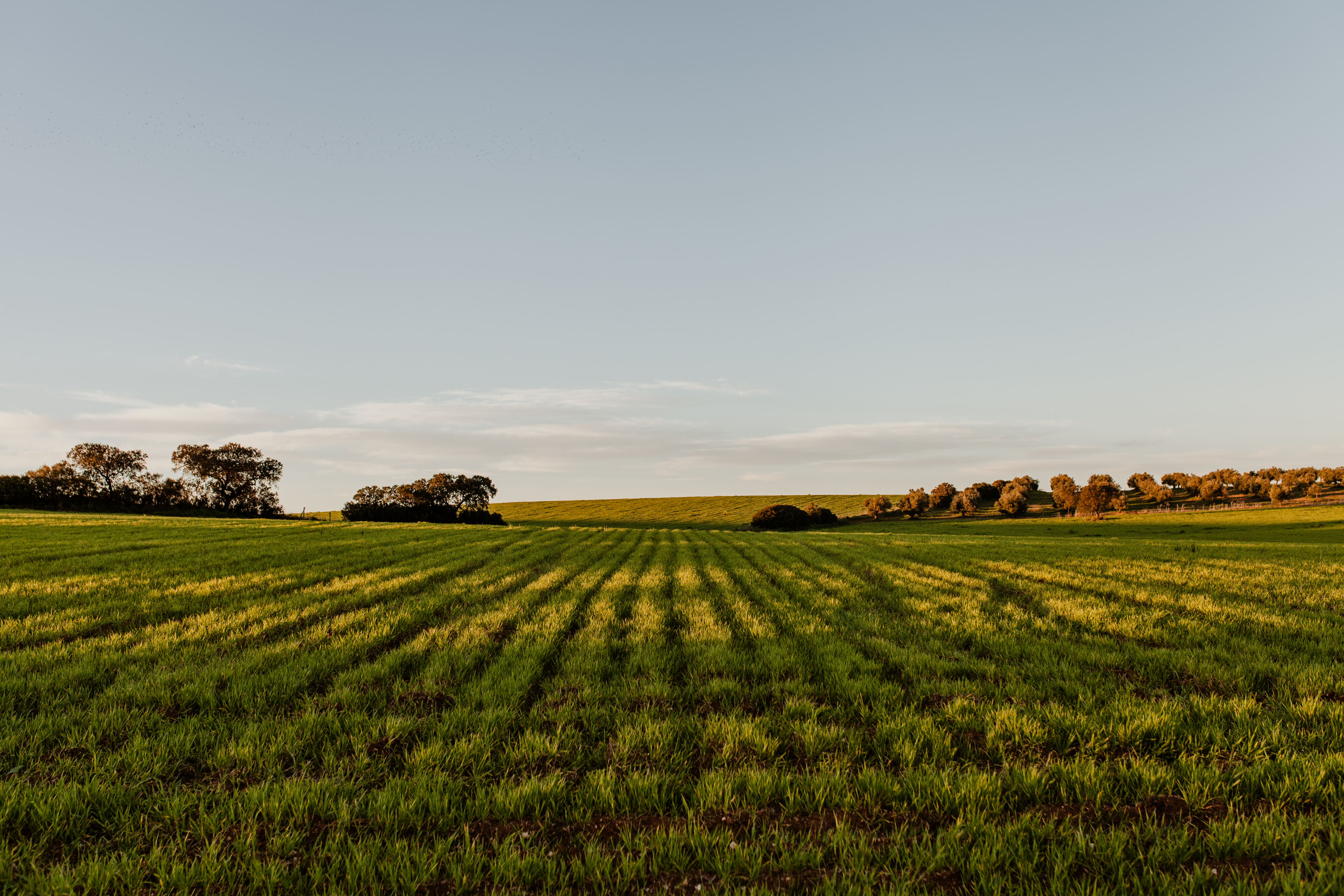 Agricultural landscape used in VALERECO materials
